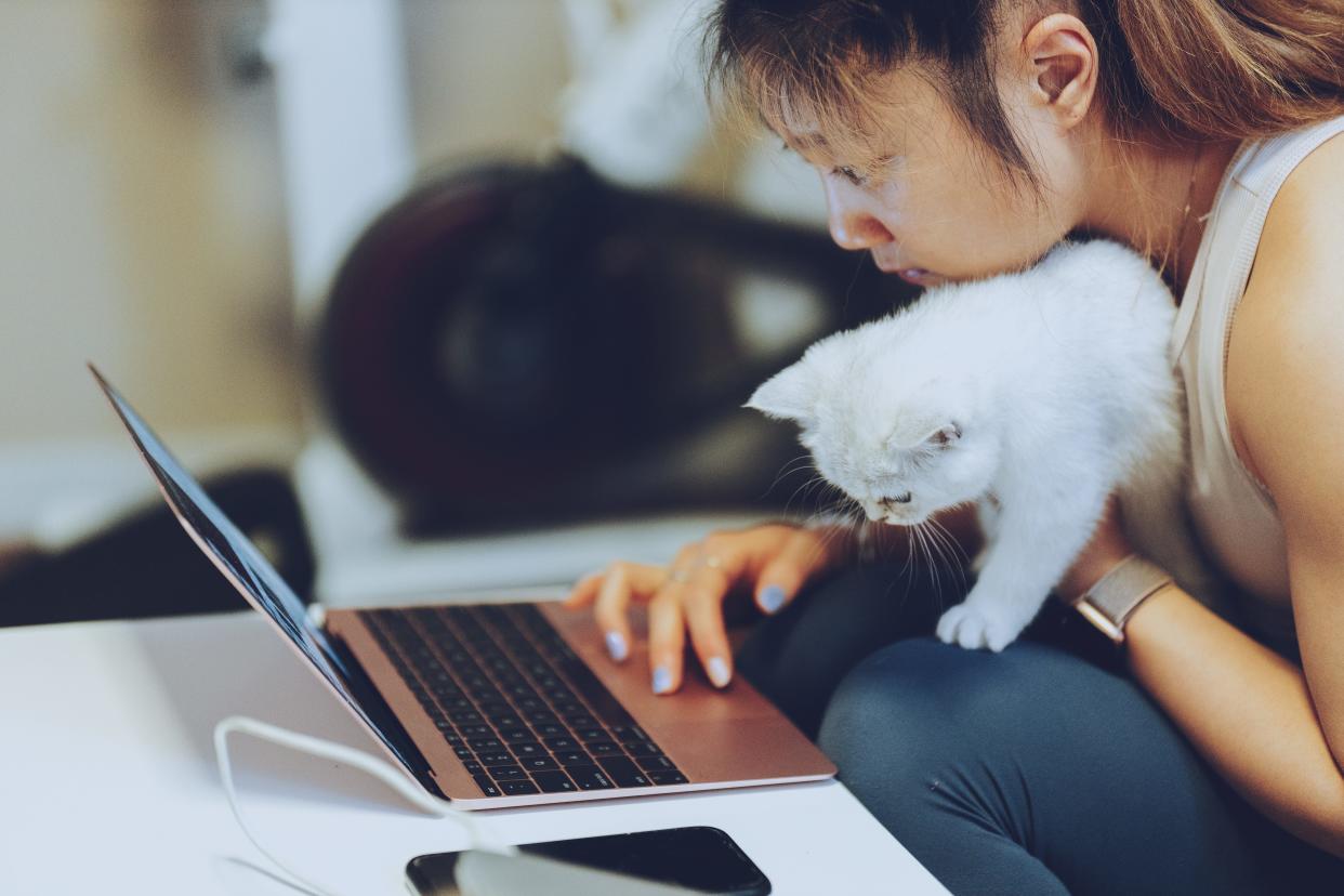 Woman holding a cat using a laptop