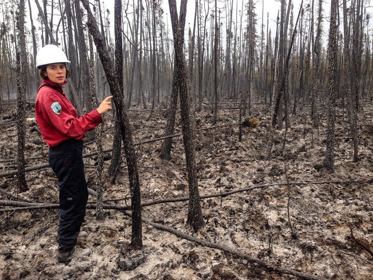 <span class="caption">Cristina Santin inspecting burnt forest after Canada’s 2014 wildfires.</span> <span class="attribution"><span class="source">Stefan Doerr</span>, <span class="license">Author provided</span></span>