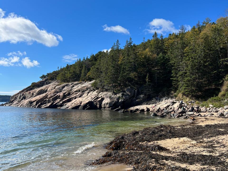 Arcadia national park ocean path