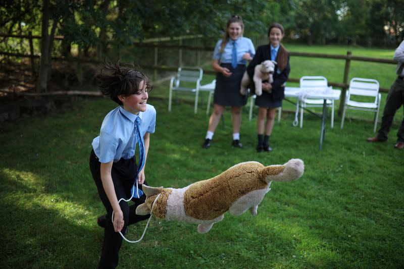 The Wider Image: Urban school farm opens world of opportunity to British teens