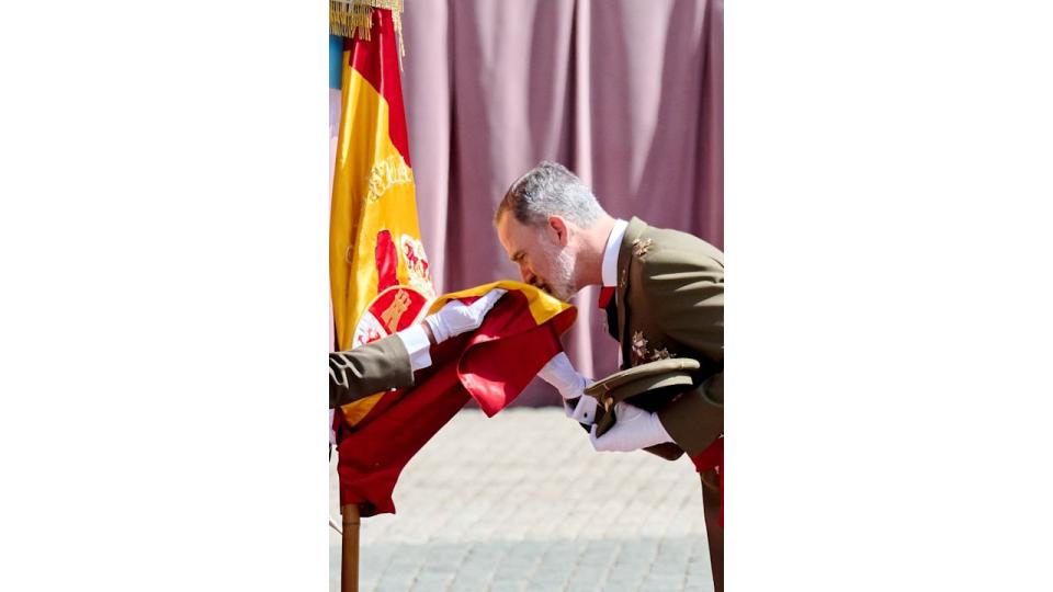 King Felipe kissing the Spanish flag