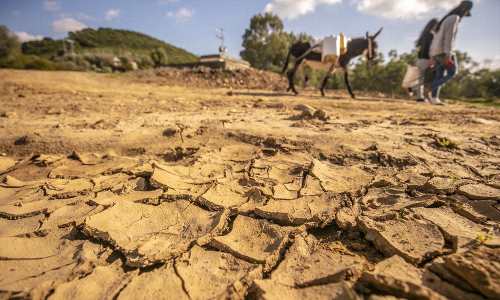 <span>Photograph: Anadolu Agency/Getty Images</span>