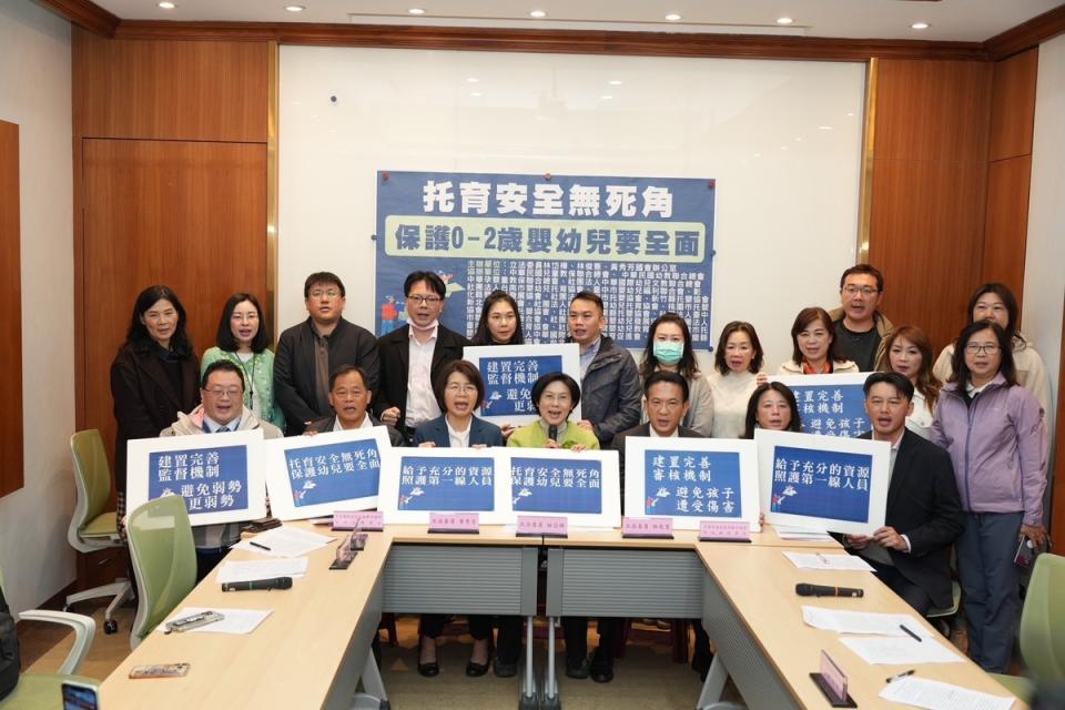 民進黨立委林岱樺偕同綠委呼籲補足托育安全無死角。   圖：立法委員林岱樺辦公室提供