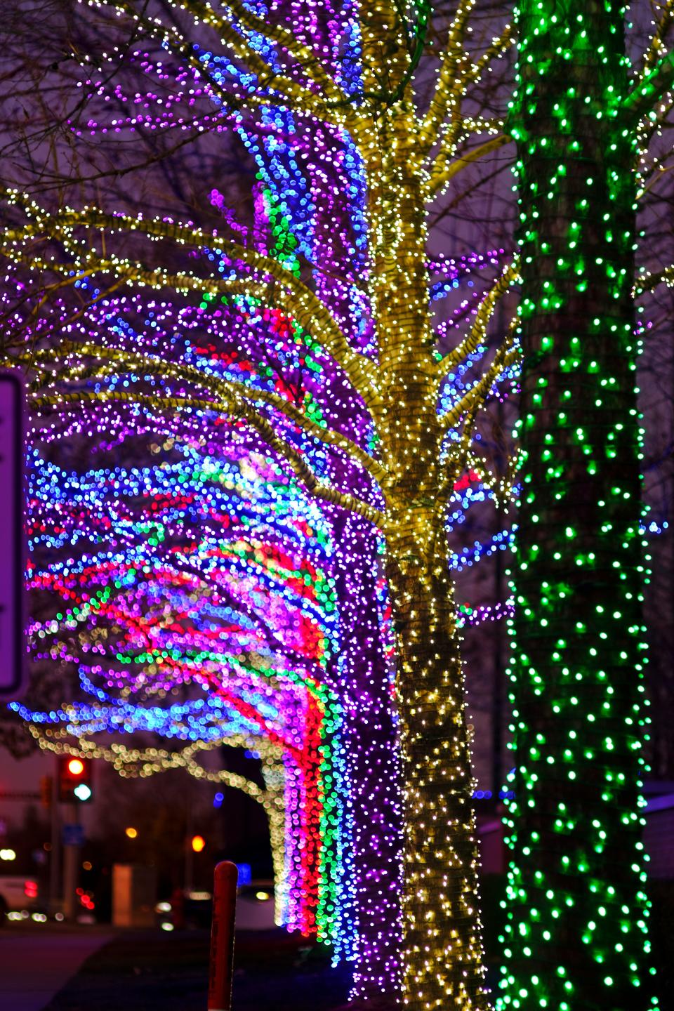 Traffic drives by the "Winter on Western" lighting display along Western Ave. between NW 63rd and Grand Blvd. Friday, December 10, 2021. 