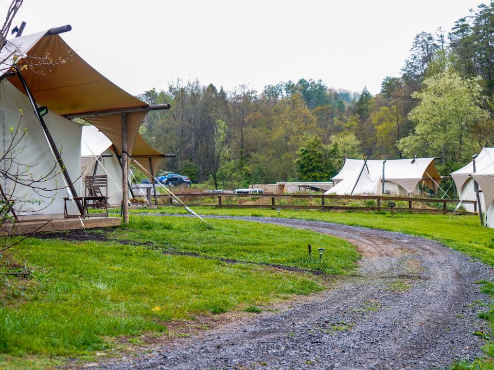 Luxury tents in a campground surrounded by trees