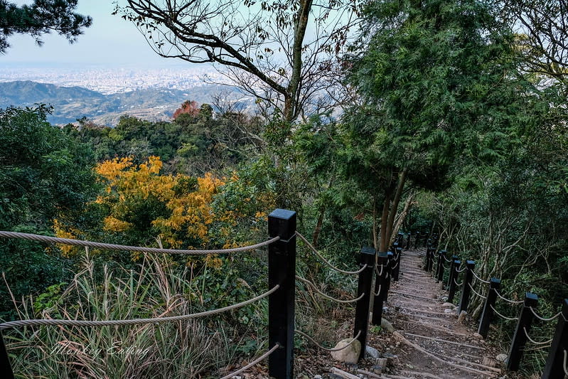 台中｜大坑5號登山步道