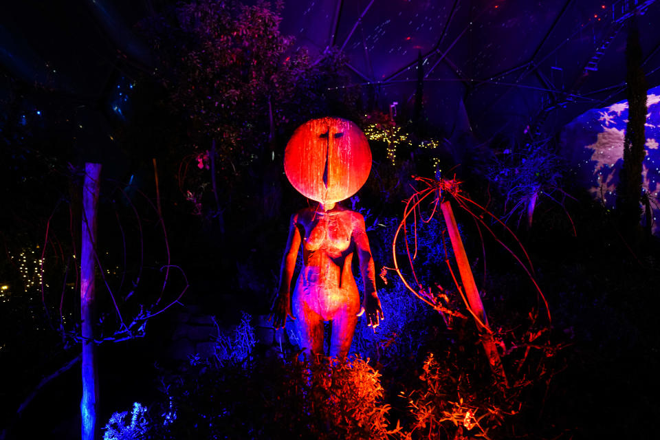 ST AUSTELL, ENGLAND - DECEMBER 03: A view of a display amongst the Christmas lights installation in the Mediterranean biome at the Eden Project on December 3, 2020 in St Austell, England. (Photo by Hugh Hastings/Getty Images)