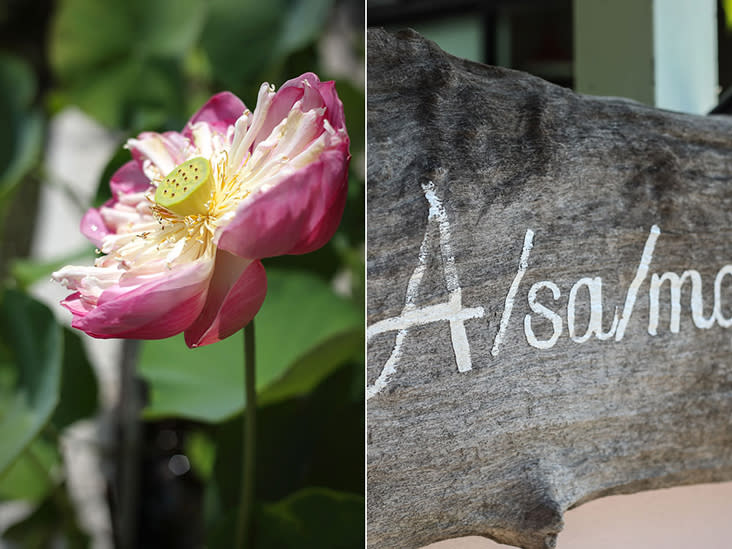 Lotus blossom (left); a signpost to Chiang Mai’s Asama Café (right)