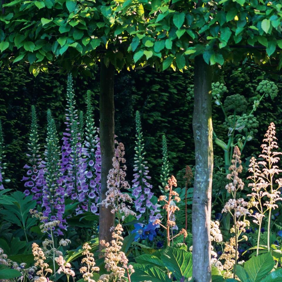 Photo credit: Glorious Gardens, by Country Living|The garden-collection, Flora Press/Joanna Kossak