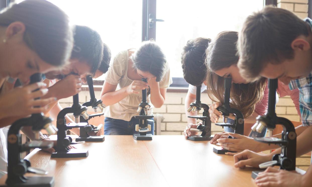 <span>Miss Pope’s lessons inspired Dr Tony Hirst to take biology to A-level and go on to medical school.</span><span>Photograph: Alamy</span>