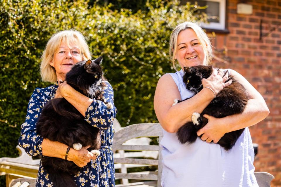 Jasper and Willow were also crowned the winners in the 'Outstanding Rescue Cat' category of this year's Cats Protection National Cat Awards (PA)