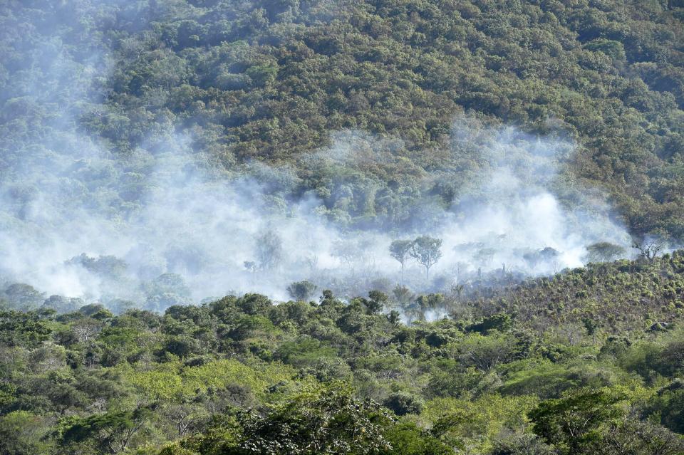 Smoke rises from the crash site in Jalisco, Mexico, in 2015 after CJNG shot down a military helicopter.