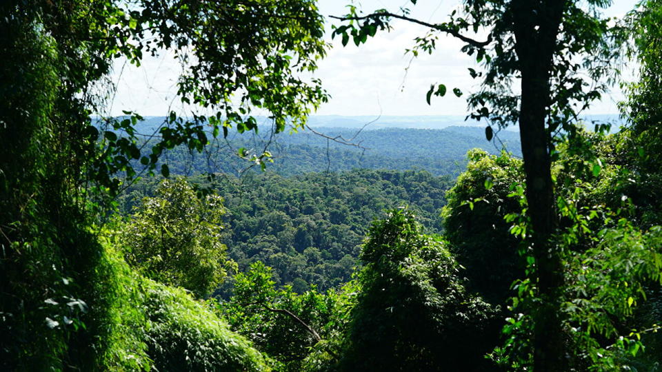 Medioambiente.