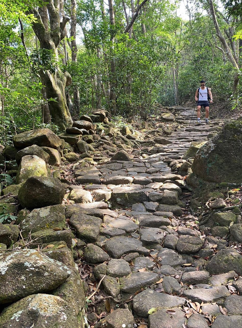 離開竹林，沿路直上茅坪。 (chengdaniel@instagram)  