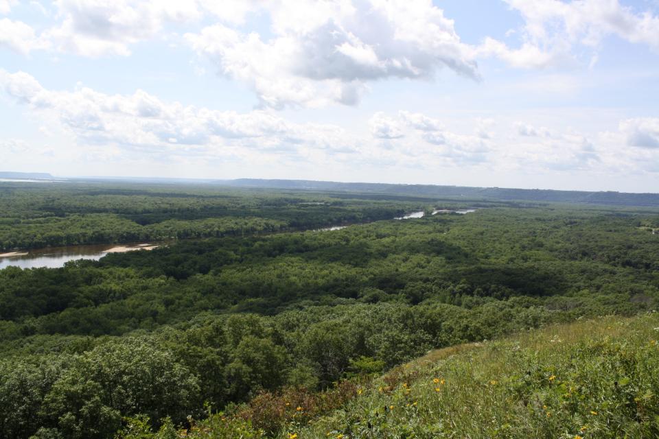 A floodplain forest is pictured near the confluence of the Chippewa and Mississippi Rivers in Wisconsin.