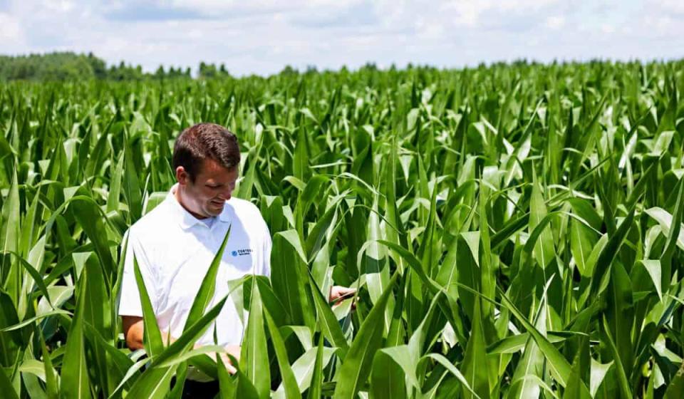 El rendimiento total para los accionistas de Corteva es de, aproximadamente, 140 %. Foto: Cortesía