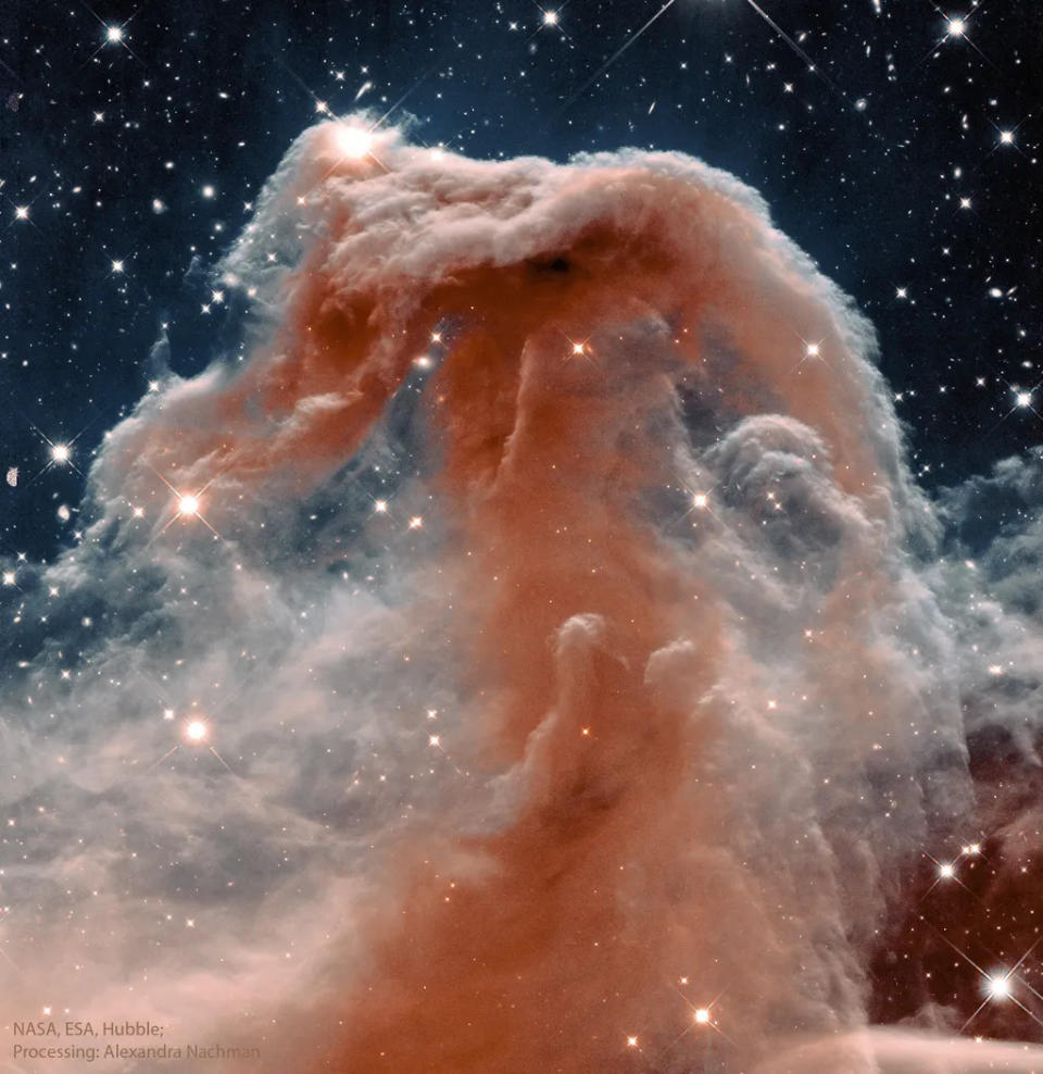 A Nebulosa Cabeça de Cavalo observada na luz infravermelha (Imagem: Reprodução/NASA, ESA, Hubble/Alexandra Nachman)