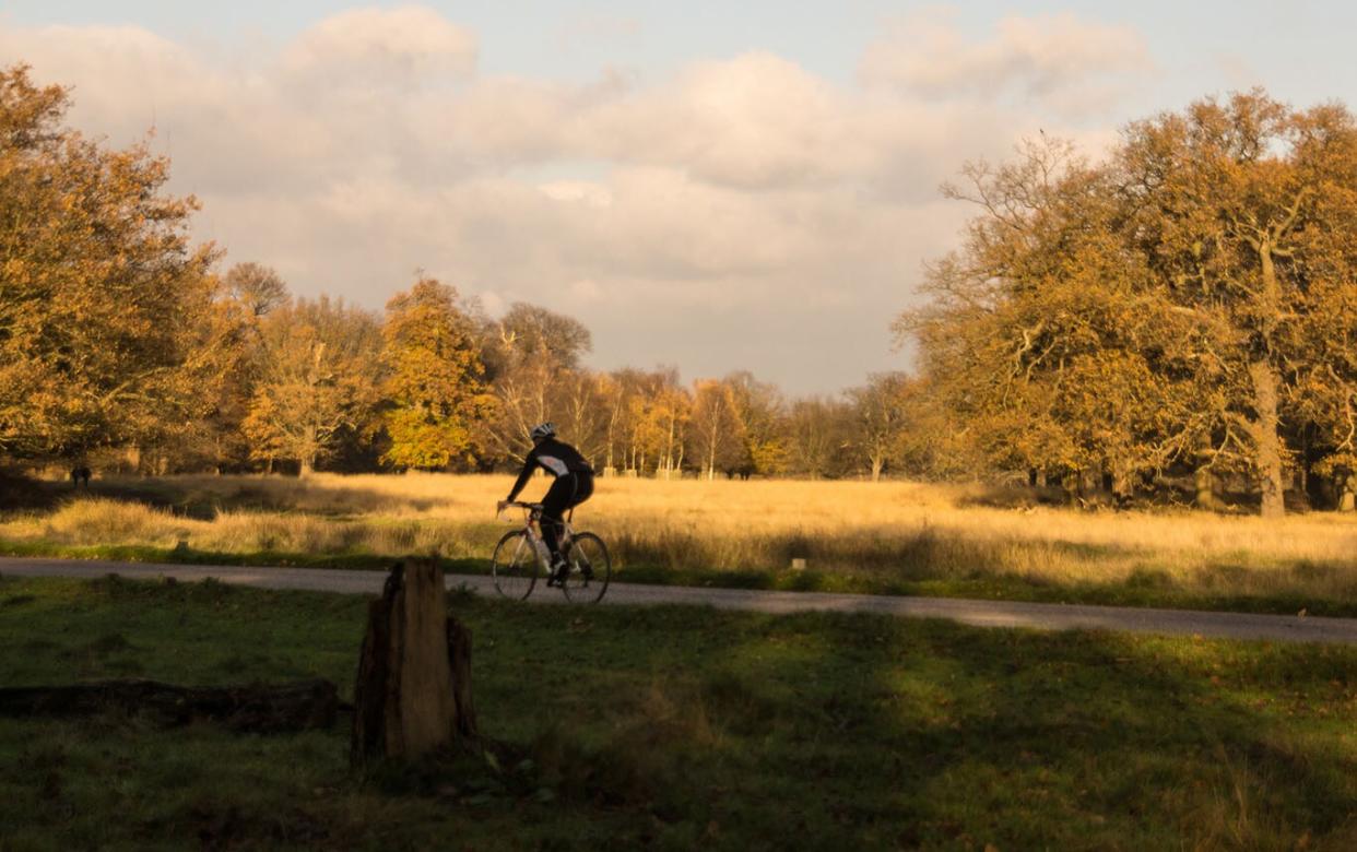 Cycle your way through Richmond Park - getty