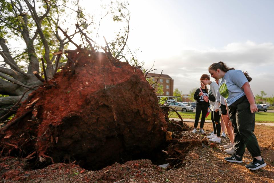 Students look at an uprooted tree at Oklahoma Baptist University on Thursday after a storm hit Shawnee on Wednesday night.