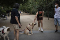 Piotr Grabarczyk, from Poland, pets a dog as he walks at a park with his boyfriend Kamil Pawlik, in Barcelona, Spain, Thursday, July 30, 2020. Grabarczyk and Pawlik are starting over in Spain, a country that — unlike Poland — allows same-sex couples the right to marry and adopt children. Like them, many LGBT people are choosing to leave Poland amid rising homophobia promoted by President Andrzej Duda and other right-wing populist politicians in power. (AP Photo/Felipe Dana)