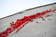 L'ultima creazione dello street artist britannico sulla facciata di un edificio a Bristol, sua città natale in Inghilterra: una bambina con una fionda di fronte a un’esplosione rossa, fatta di petali e fiori di plastica, forse il cuore infranto di Cupido. (Photo by Ben Birchall/PA Images via Getty Images)