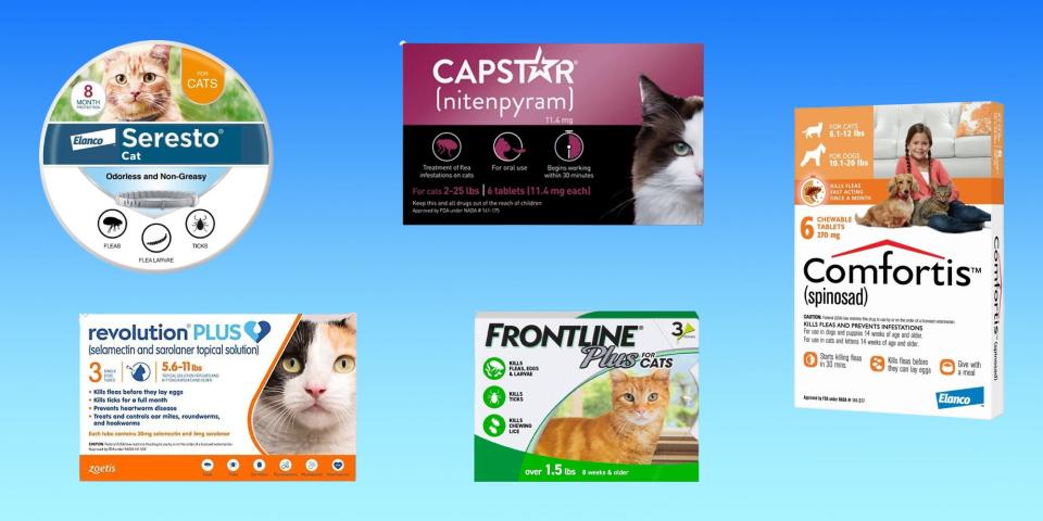 Packages of cat flea treatments, including Seresto collar, Capstar, Comfortis, Revolution Plus, and Frontline, are on a blue background.