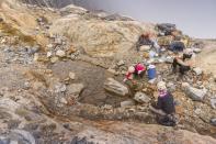 <p>A l'occasion de trois missions auxquelles ont participé une dizaine de scientifiques, des mousses et lichens nouveaux pour le Venezuela ont été trouvés sur le glacier de Humboldt. </p>