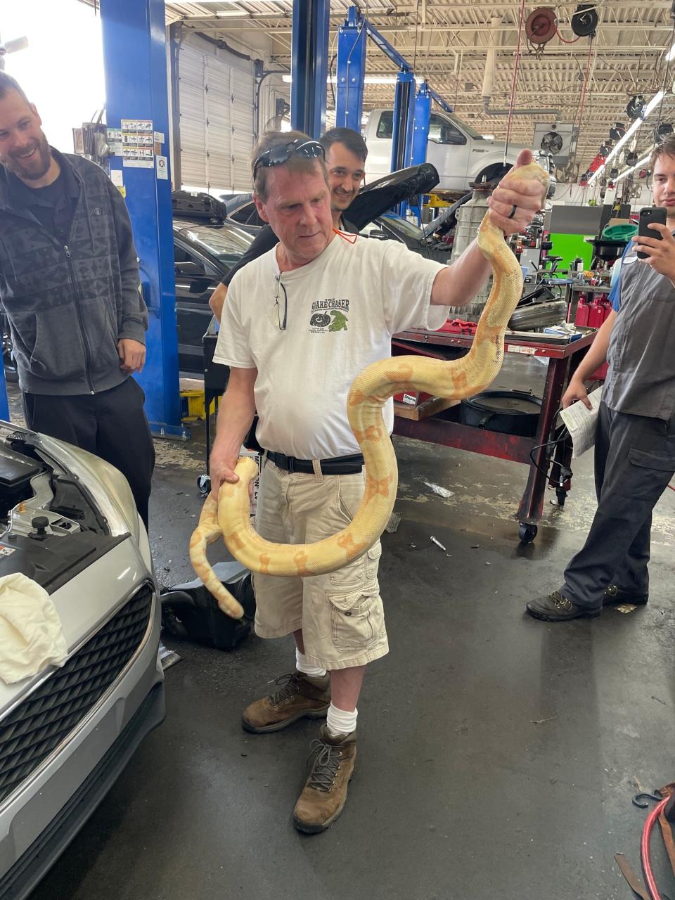 Russell Cavender pulled an 8-foot-long albino boa constrictor out of a car’s engine.
