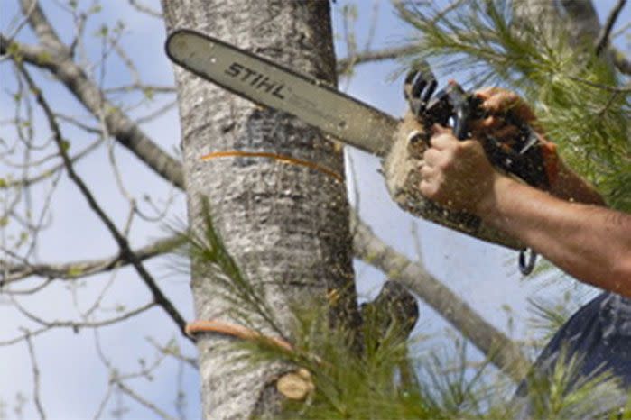 Mr Singleton was working on his farm when he lost control of his chainsaw. Photo: Getty FILE IMAGE.