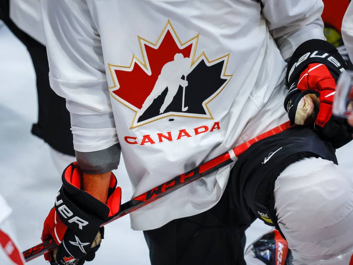 An NDP critic is calling for an expanded audit of Hockey Canada's spending. (Jeff McIntosh/The Canadian Press - image credit)