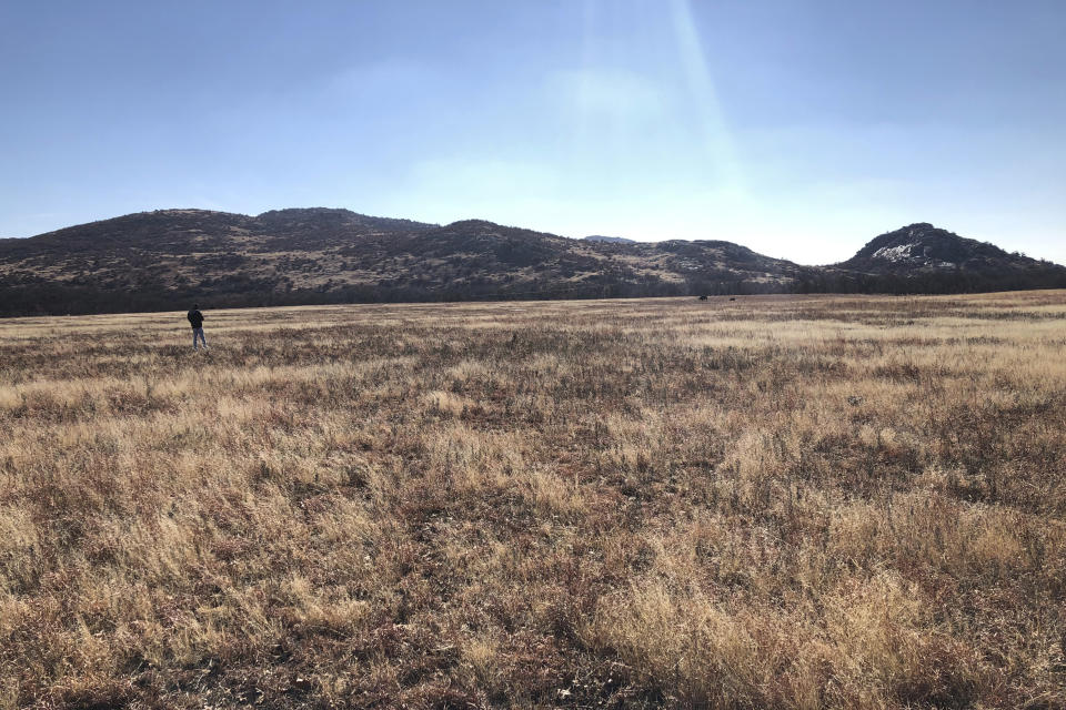 In this Dec. 31, 2018 photo, a man takes photos of bison in the Wichita Mountains Wildlife Refuge, in Comanche County, Okla. The U.S. Fish and Wildlife Service is directing dozens of wildlife refuges including this one to make sure hunters and others have access despite the government shutdown, according to an email obtained Wednesday by The Associated Press. (AP Photo/Adam Kealoha Causey)