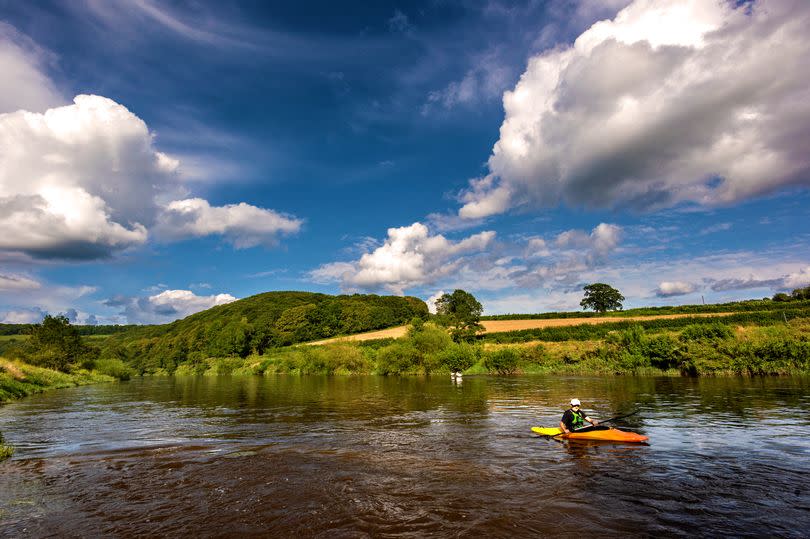 Meander your way through the Forest of Dean -Credit:Getty/© 2019 Michael Roberts