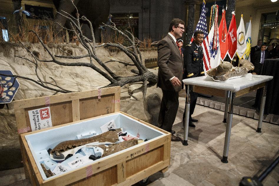 Smithsonian National Museum of Natural History Director Kirk Johnson, left, and Lt. Gen. Thomas Bostick, commanding general of the Army Corps of Engineers, unveil the fossilized bones of a Tyrannosaurus rex during a ceremony at the museum in Washington, Tuesday, April 15, 2014. The Tyrannosaurus rex is joining the dinosaur fossil collection on the National Mall on Tuesday after a more than 2,000-mile journey from Montana. For the first time since its dinosaur hall opened in 1911, the Smithsonian's National Museum of Natural History will have a nearly complete T. rex skeleton. FedEx is delivering the dinosaur bones in a truck carrying 16 carefully packed crates. (AP Photo/J. Scott Applewhite)
