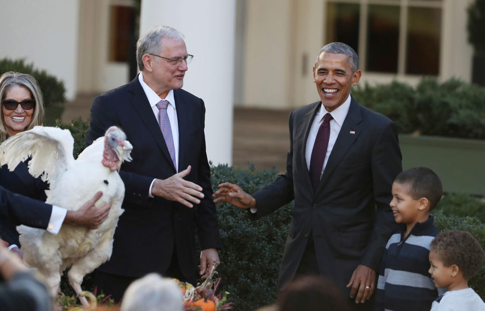 Obama pardons ‘Tot’, the National Thanksgiving turkey