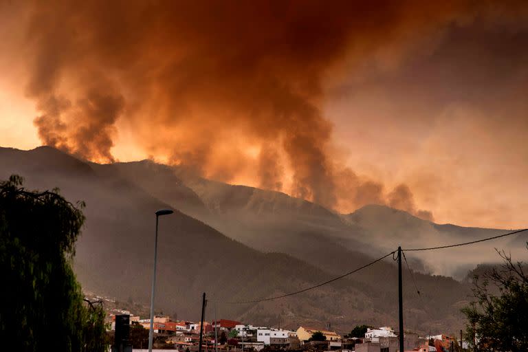 TOPSHOT - En esta imagen tomada desde el pueblo de Arafo el 16 de agosto de 2023, columnas de humo se elevan desde un incendio forestal en una zona boscosa del valle de Güímar, en la isla canaria de Tenerife
