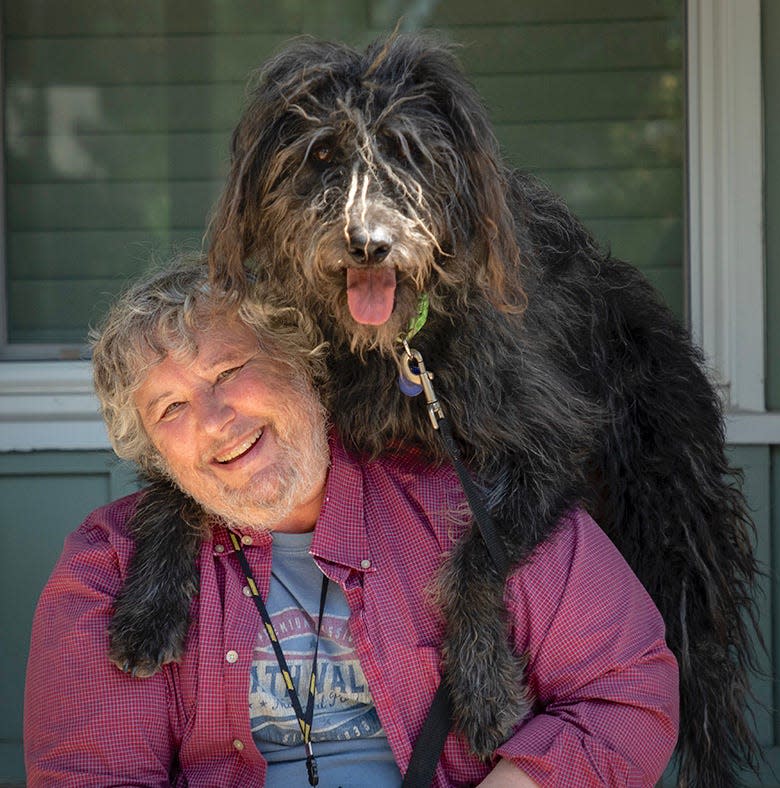 A fluffy brown dog stands on a person's shoulders.