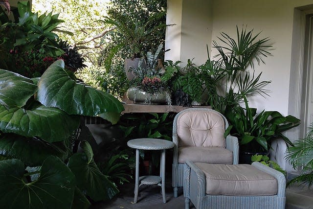 Houseplants brighten up the decor in any room.