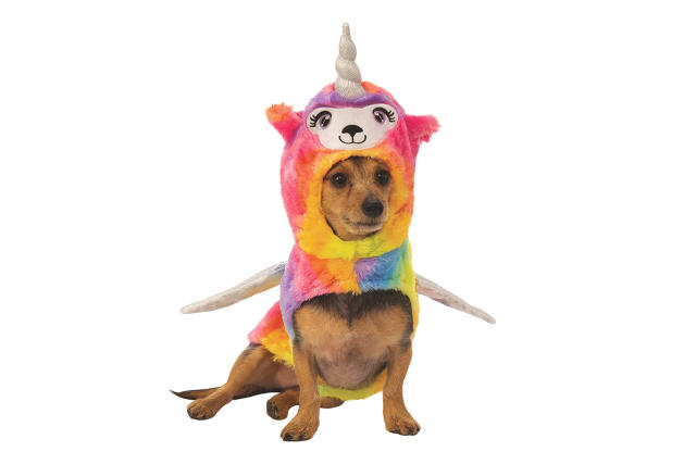 nickelodeon cat dog couple costumes