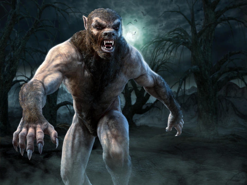 Werewolf night scene 3D illustration