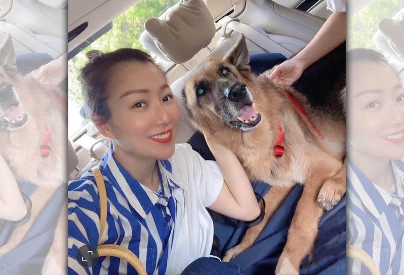 鄭秀文與許志安飼養的愛犬Lucky去世，她哀傷不已。（翻攝自鄭秀文IG）