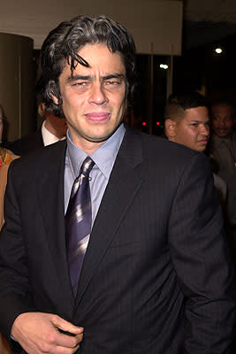 Benicio Del Toro at the Los Angeles premiere of Warner Brothers' The Pledge