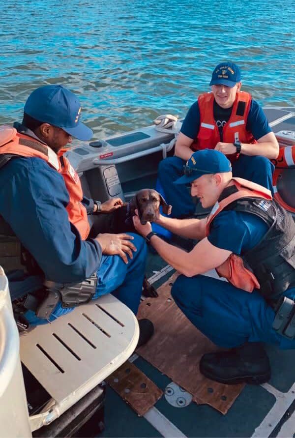 Coast Guard Saves Dog Found Swimming in Pamlico Sound