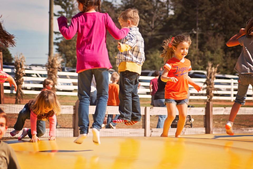 Denver Downs Fall Festival