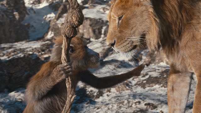 <p>Disney</p> Rafiki and Mufasa in 'Mufasa: The Lion King'