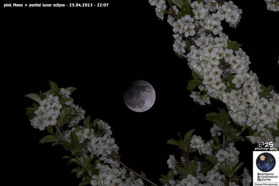 Flowering tree branches delicately frame the partial lunar eclipse of April 25, 2013, in Ohrid, Macedonia. Photo provided by astrophotographer Stojan Stojanovski.