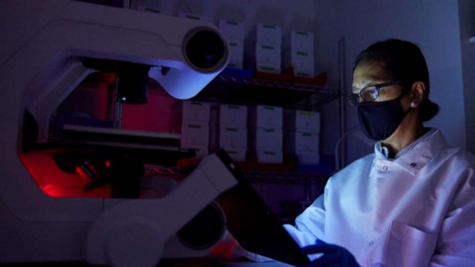 PHOTO: An eGenesis scientist works in the lab. (eGenesis)