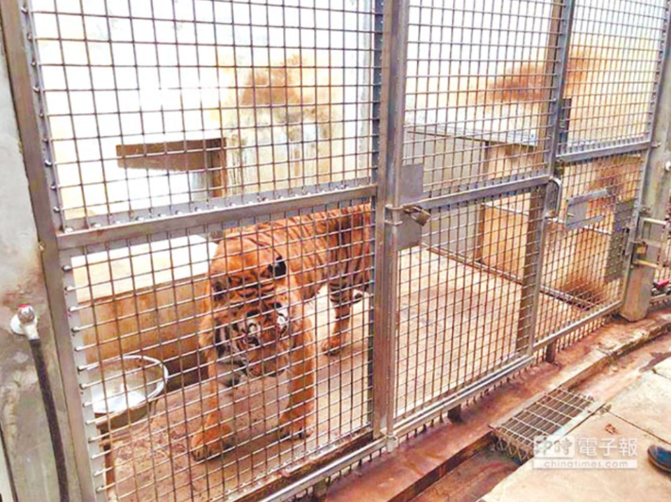 竹市動物園搬遷 害21隻動物送命