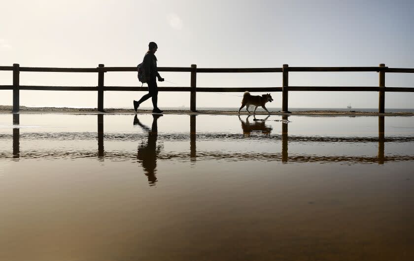 HUNTINGTON BEACH-CA-JANUARY 5, 2023: A pedestrian and dog are reflected in puddles on a walkway along Pacific Coast Highway in Huntington Beach on Thursday, January 5, 2023 near where PCH between Warner Avenue and Seapoint Drive is closed due to flooding. (Christina House / Los Angeles Times)