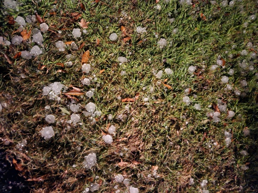 Quarter-sized hail in Horseshoe Bay around 5 a.m. Jan. 23. (Credit: Kay Young)