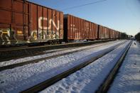 Canadian National Railway (CN Rail) freight train remains halted near a Tyendinaga Mohawk Territory camp